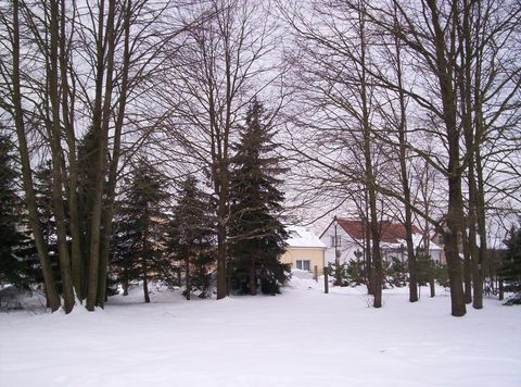 NK Digi020.jpg